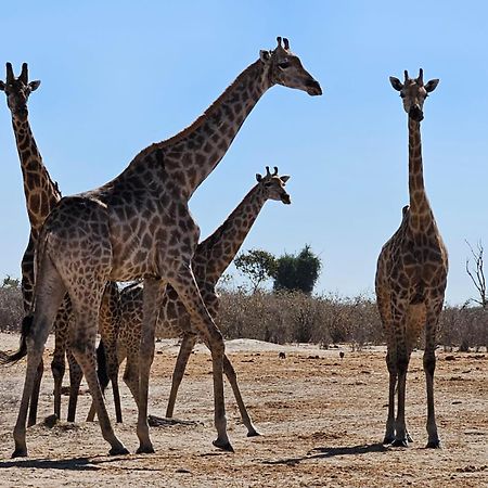 Xhabe Safari Lodge Chobe Muchenje エクステリア 写真