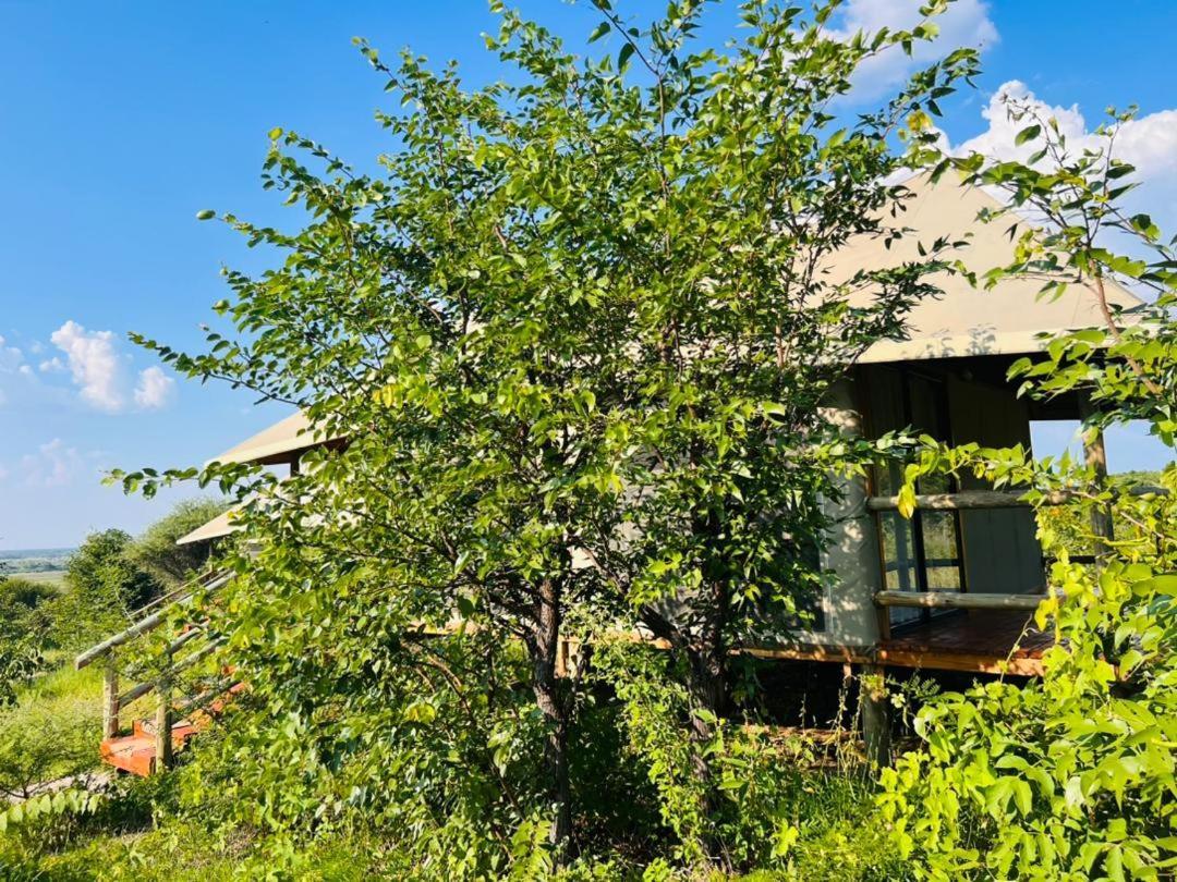 Xhabe Safari Lodge Chobe Muchenje エクステリア 写真