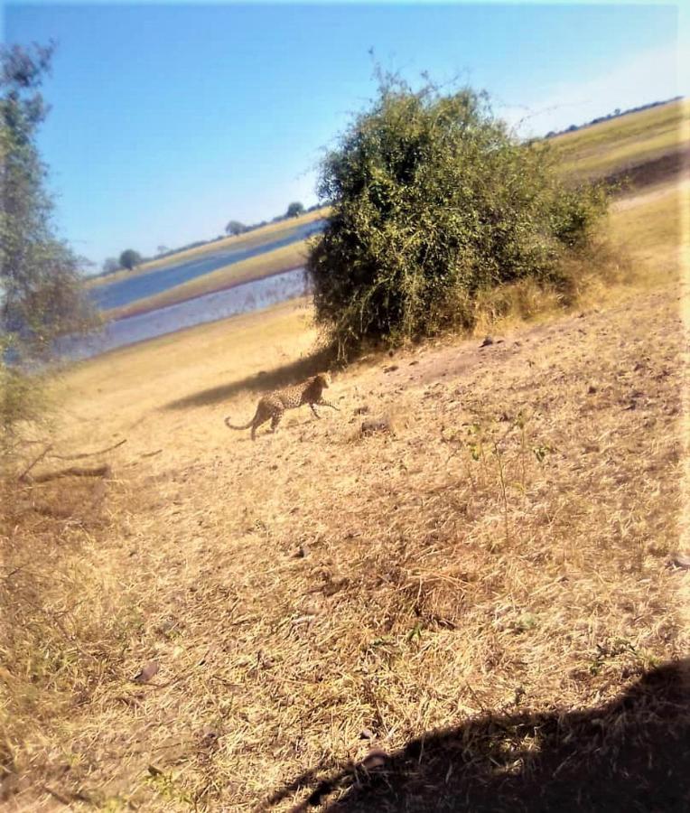 Xhabe Safari Lodge Chobe Muchenje エクステリア 写真